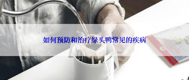 如何预防和治疗绿头鸭常见的疾病