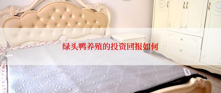 绿头鸭养殖的投资回报如何