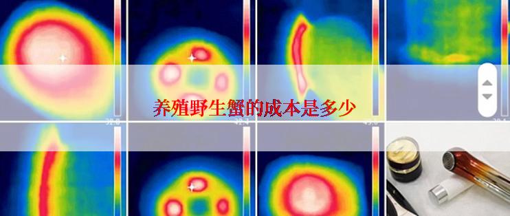 养殖野生蟹的成本是多少