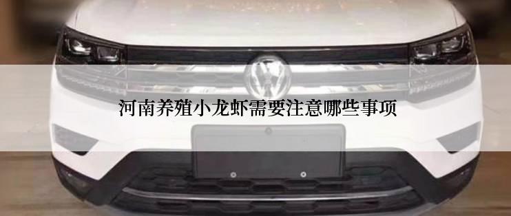  河南养殖小龙虾需要注意哪些事项