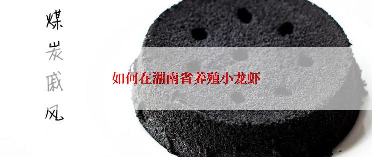 如何在湖南省养殖小龙虾