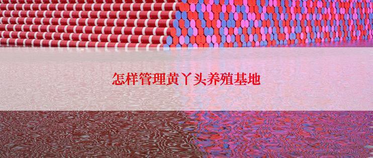 怎样管理黄丫头养殖基地