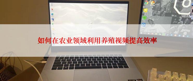  如何在农业领域利用养殖视频提高效率