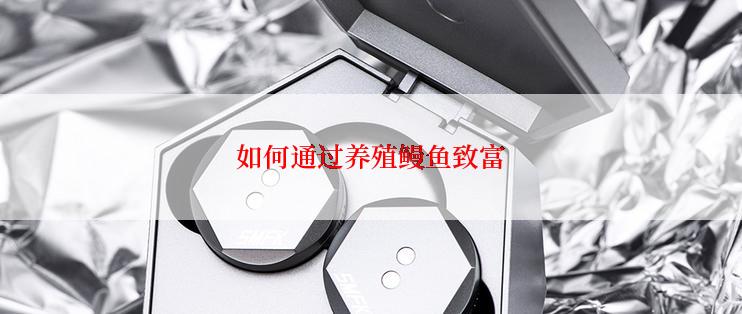 如何通过养殖鳗鱼致富