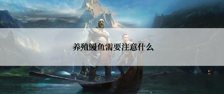  养殖鳗鱼需要注意什么