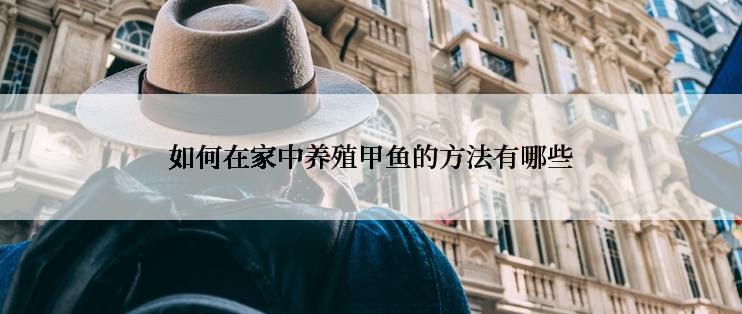 如何在家中养殖甲鱼的方法有哪些