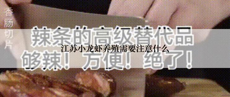 江苏小龙虾养殖需要注意什么