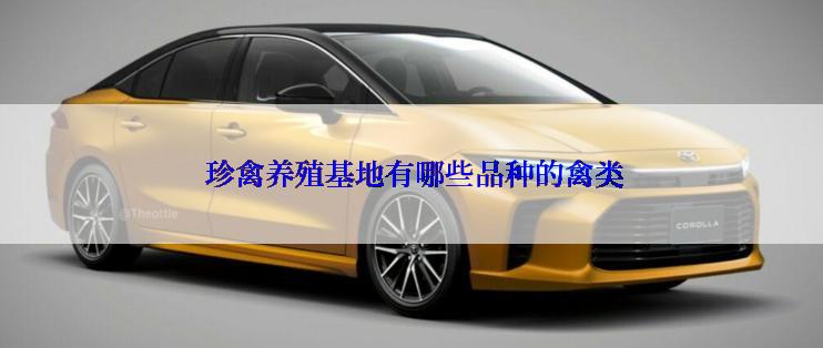  珍禽养殖基地有哪些品种的禽类