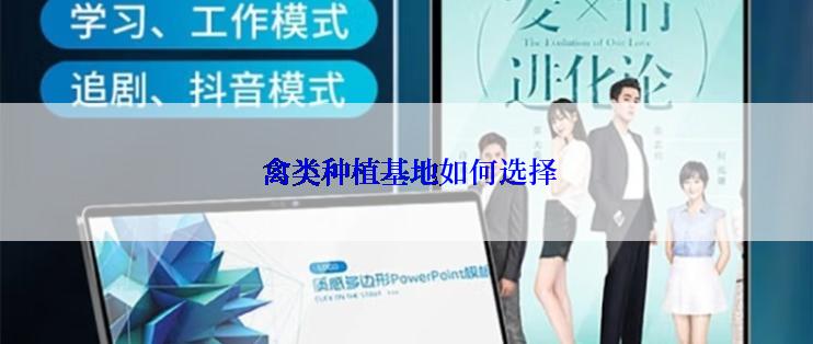  禽类种植基地如何选择