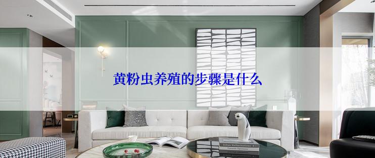 黄粉虫养殖的步骤是什么