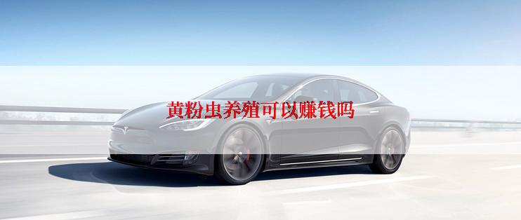 黄粉虫养殖可以赚钱吗