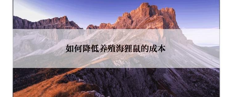  如何降低养殖海狸鼠的成本