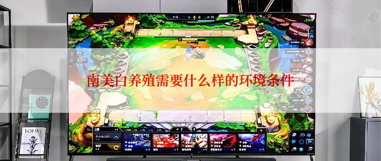 南美白养殖需要什么样的环境条件