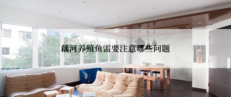 藕河养殖鱼需要注意哪些问题