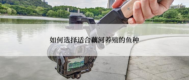 如何选择适合藕河养殖的鱼种