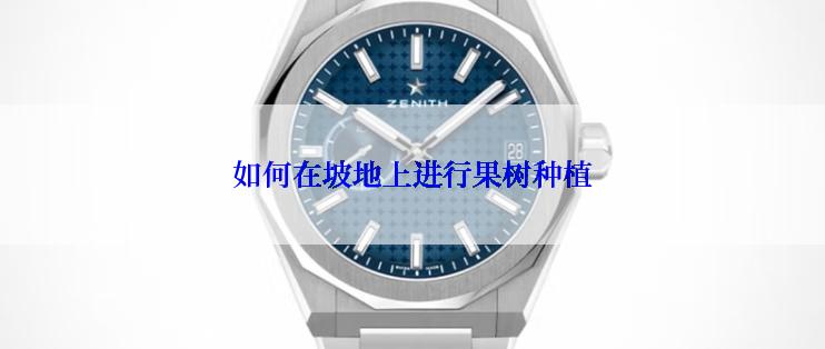 如何在坡地上进行果树种植