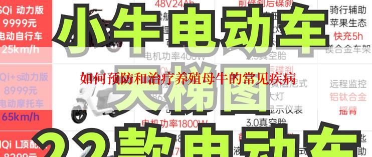  如何预防和治疗养殖母牛的常见疾病