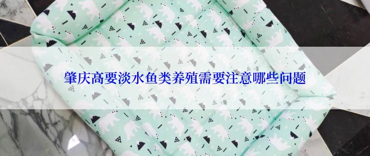 肇庆高要淡水鱼类养殖需要注意哪些问题