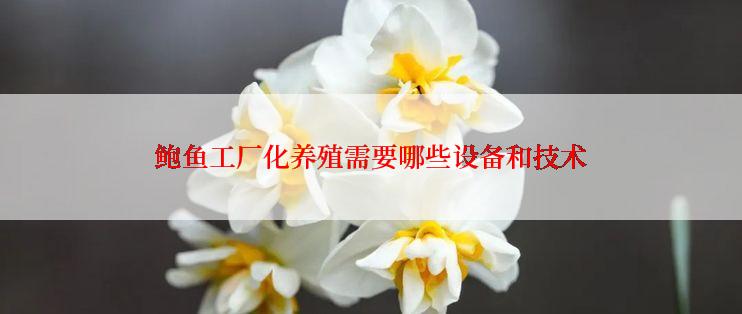 鲍鱼工厂化养殖需要哪些设备和技术