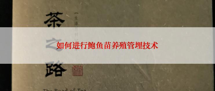 如何进行鲍鱼苗养殖管埋技术