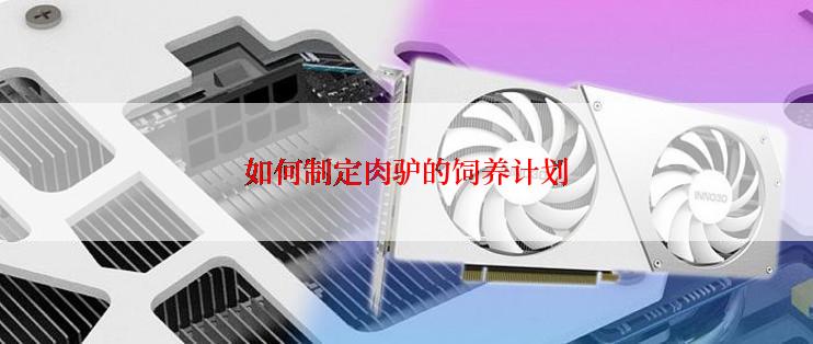 如何制定肉驴的饲养计划