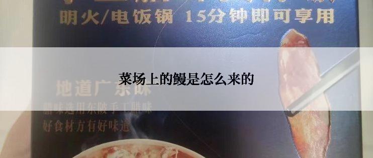 菜场上的鳗是怎么来的