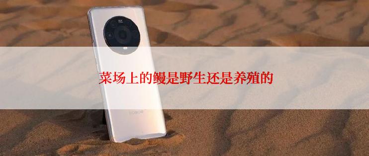  菜场上的鳗是野生还是养殖的