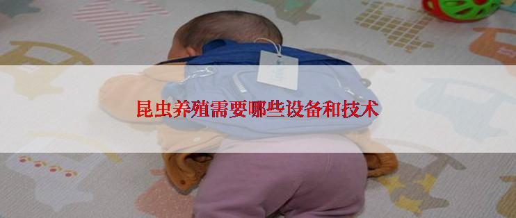 昆虫养殖需要哪些设备和技术