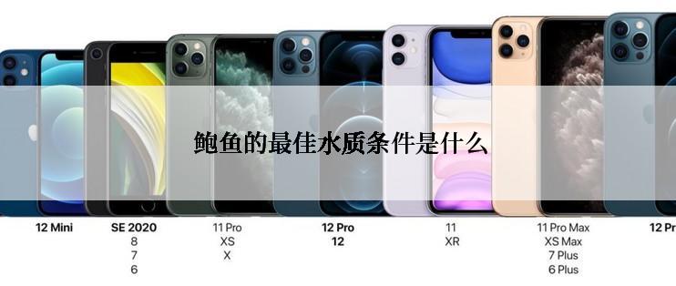  鲍鱼的最佳水质条件是什么