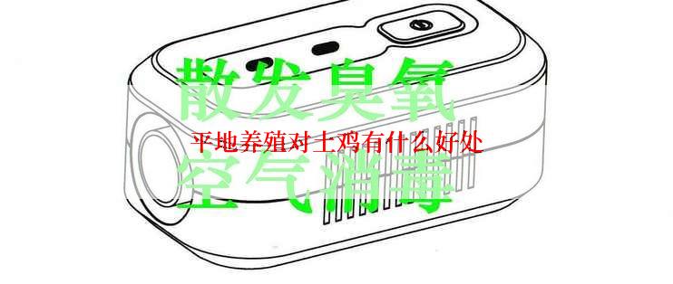 平地养殖对土鸡有什么好处