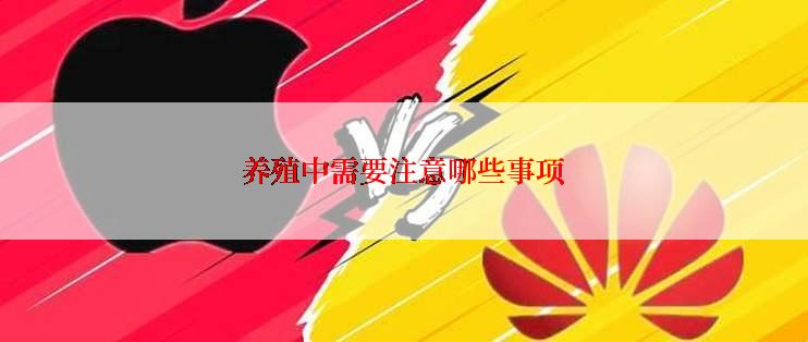 养殖中需要注意哪些事项