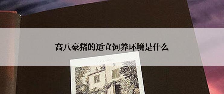 高八豪猪的适宜饲养环境是什么