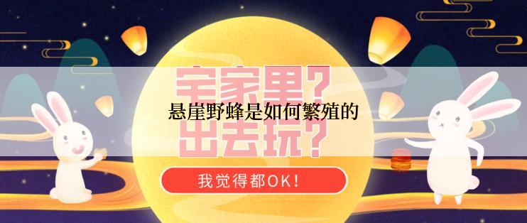 悬崖野蜂是如何繁殖的