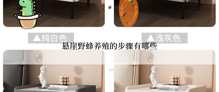 悬崖野蜂养殖的步骤有哪些