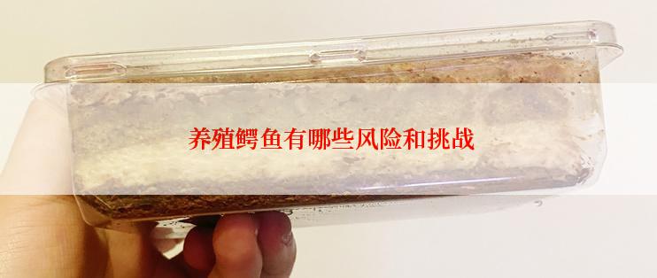  养殖鳄鱼有哪些风险和挑战