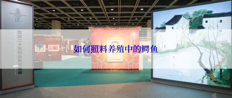 如何照料养殖中的鳄鱼