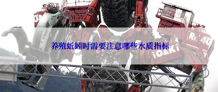  养殖蚯蚓时需要注意哪些水质指标