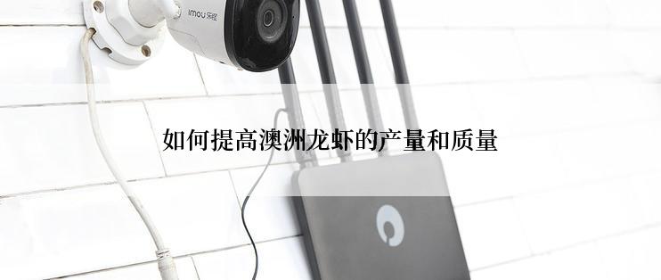 如何提高澳洲龙虾的产量和质量