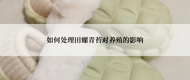 如何处理田螺青苔对养殖的影响