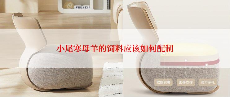 小尾寒母羊的饲料应该如何配制