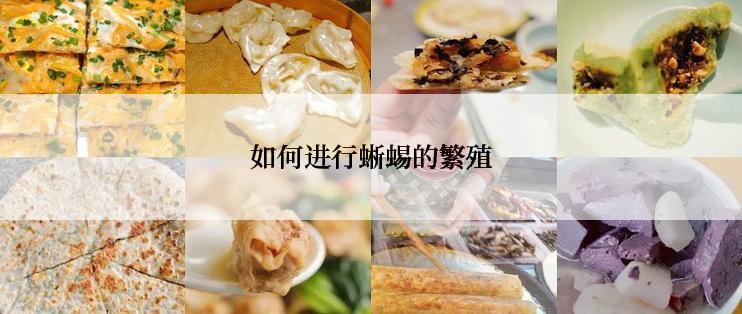 如何进行蜥蜴的繁殖