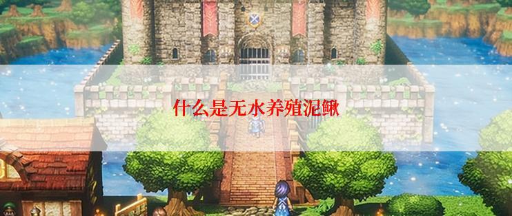 什么是无水养殖泥鳅