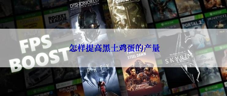  怎样提高黑土鸡蛋的产量