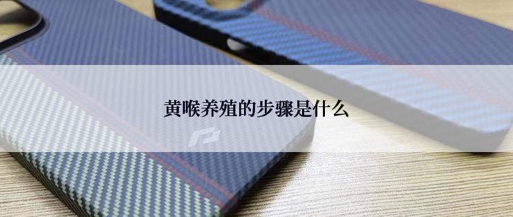 黄喉养殖的步骤是什么