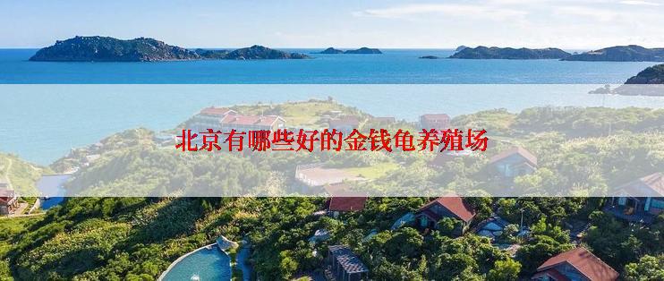 北京有哪些好的金钱龟养殖场