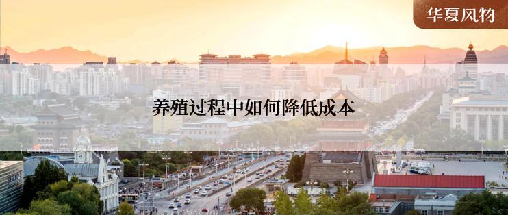 养殖过程中如何降低成本