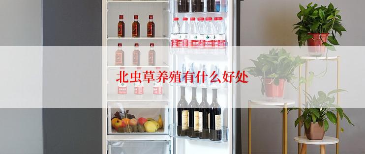 北虫草养殖有什么好处