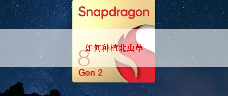 如何种植北虫草