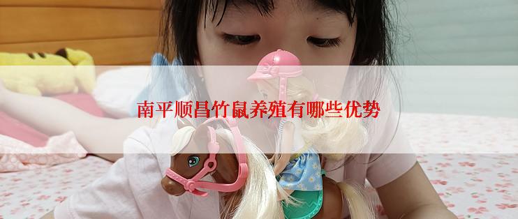 南平顺昌竹鼠养殖有哪些优势