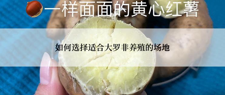 如何选择适合大罗非养殖的场地